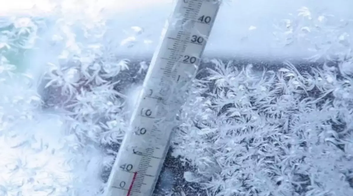 -42°С: жұмысқа қалай киініп бару керек