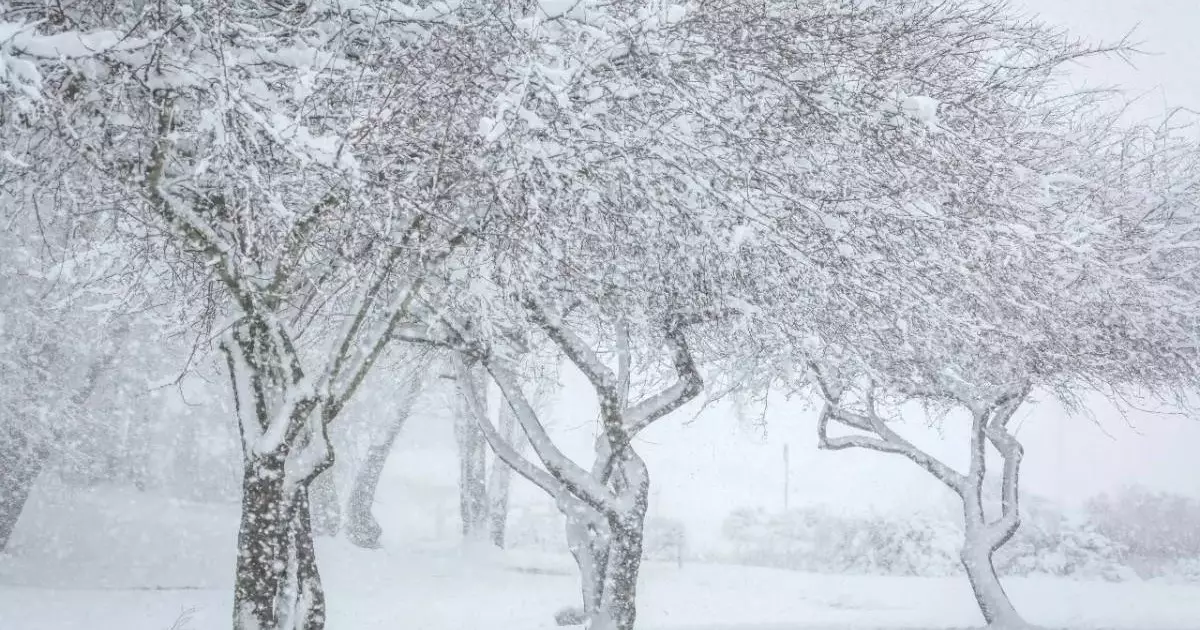  Прогноз погоды на 16 января: на востоке Казахстана похолодает до −36 