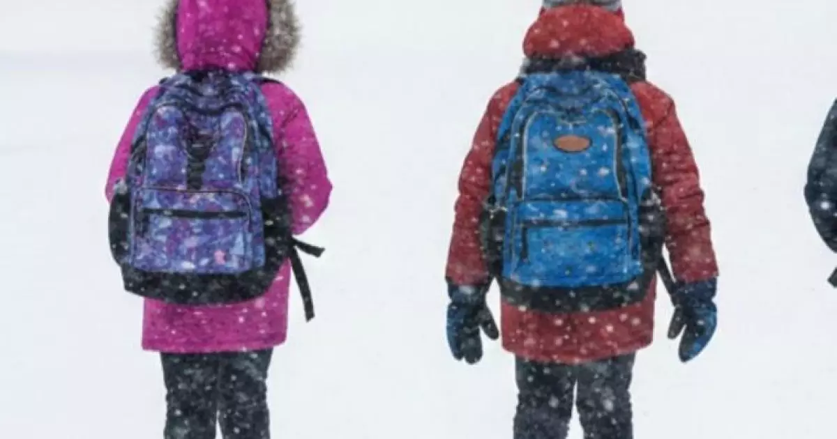   Астанада мектеп оқушылары мен колледждің 1-2 курс студенттері онлайнға ауыстырылды   