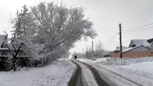 Петропавлда ауруханаға шыққан 75 жастағы зейнеткер әйел үсіп өлген