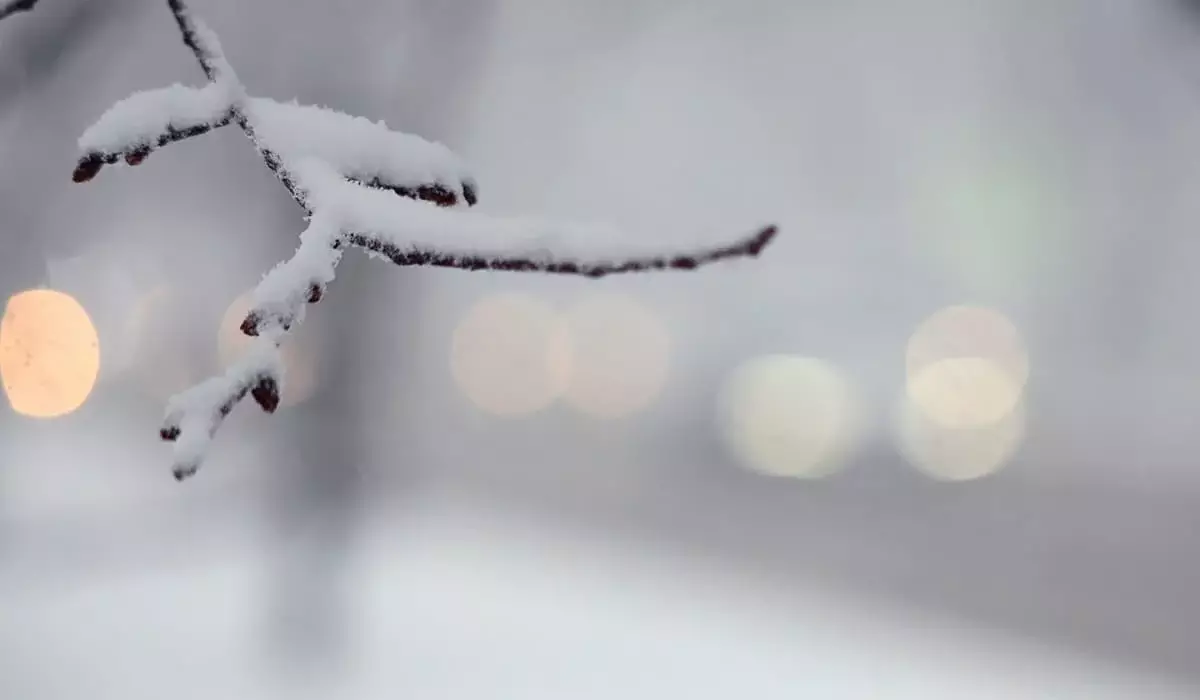 Снегопады и метели ожидаются на автодорогах в 10 областях Казахстана