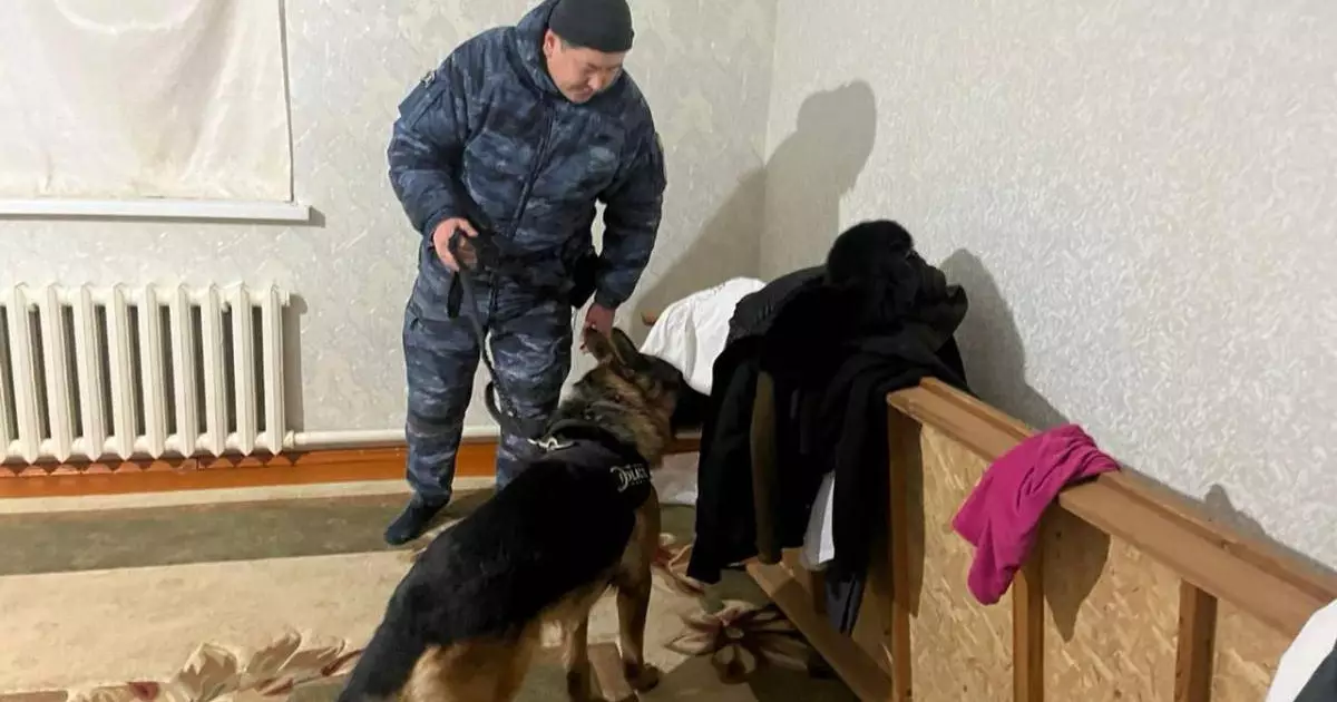  Қызылордада бір жылда 2 тоннаға жуық есірткі тәркіленді 