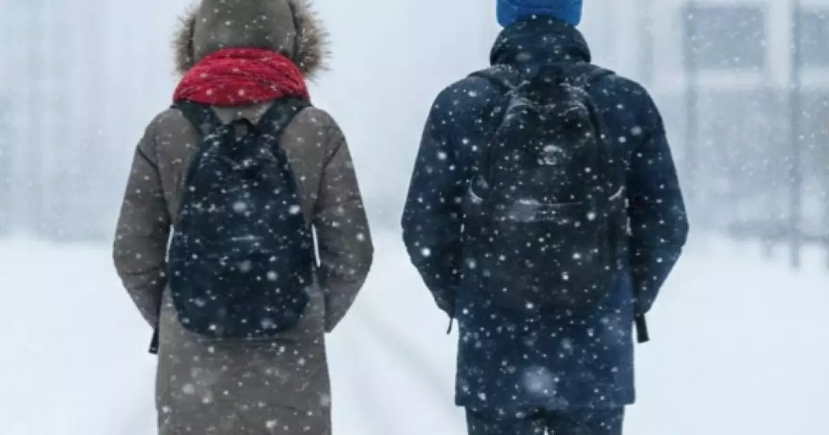  Отмена занятий в Астане: школы и колледжи уходят на онлайн 16 января 