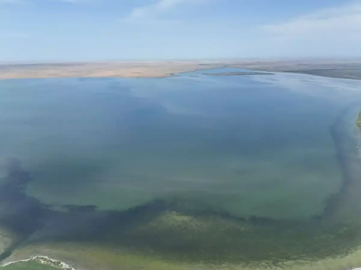 14 млн теңге айыппұл төледі: «Алматы Су» кәсіпорны Сорбұлақ  қауіпті ағынды су төккен