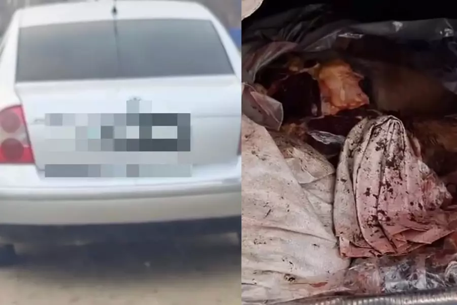 Жамбыл облысында екі адам жайылымда жүрген жылқыны атып алып кеткен (видео)