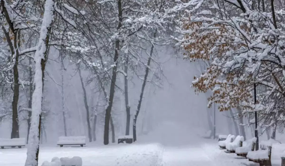 Қазақстанда демалыс күндері де аяз болады: ауа райы болжамы жарияланды
