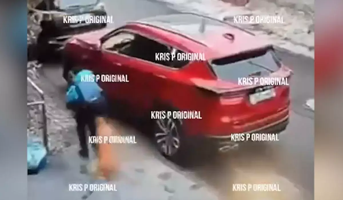 Иесіне айыппұл салынды: Алматыда қараусыз жүрген ит баланы қауіп алды (ВИДЕО)