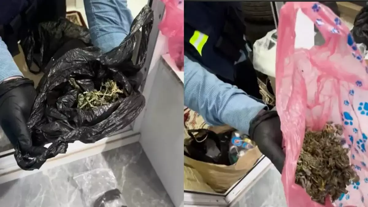 Хранила на балконе: в столице изъяли крупную партию запрещенных веществ