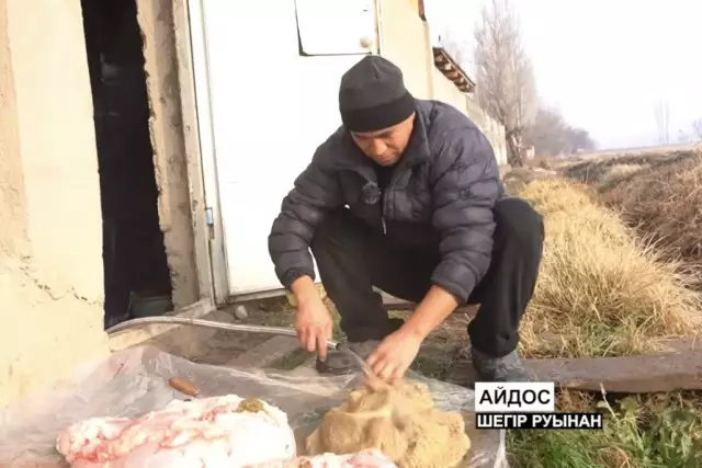 Өзбекстандағы қазақтардың ішек-қарынды өздері тазалайтыны көпке үлгі болды