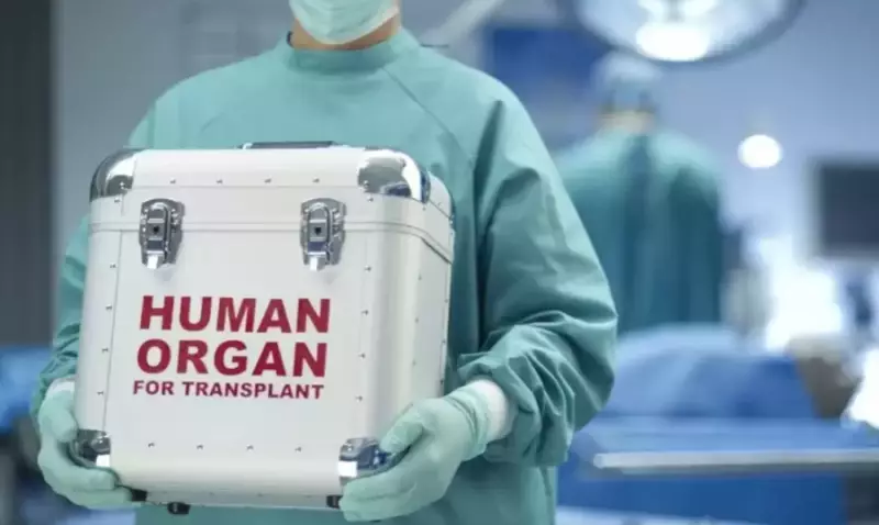 Россиянка пыталась продать свою почку в Павлодаре: суд вынес приговор