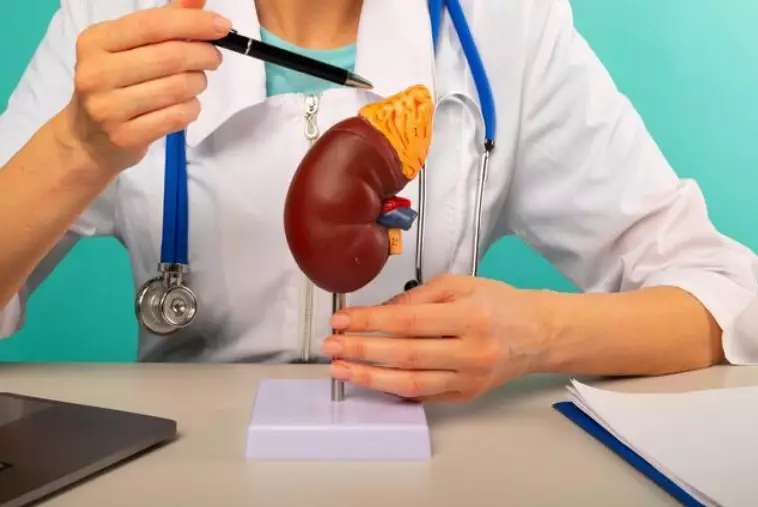 Россиянка пыталась продать почку в Павлодаре за 50 тысяч долларов