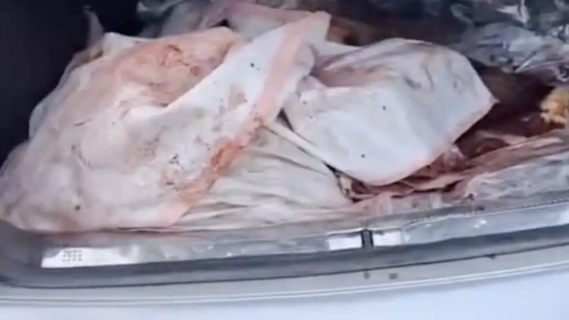 Жамбыл облысында екі адам жайылымдағы жылқыны атып алған