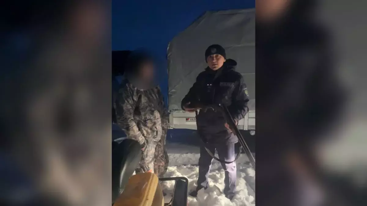Нарушил природный баланс: в области Абай мужчина охотился на волка