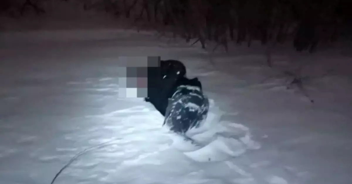  Петропавлдық зейнеткер әйел жолдан адасып, аязда тоңып қайтыс болды 