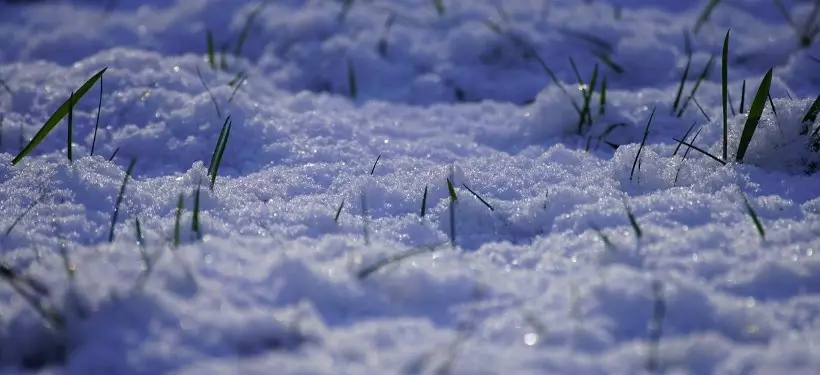 Дождь, снег и морозы: штормовое предупреждение объявили в ряде регионов Казахстана