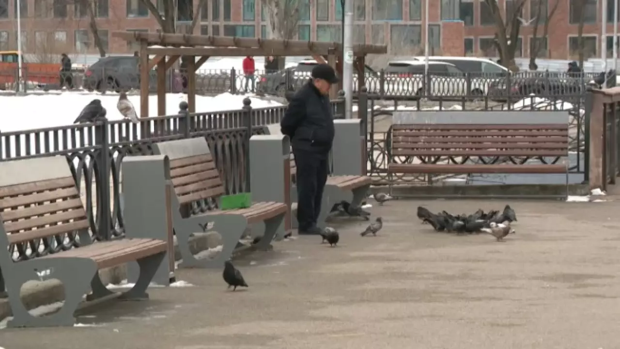 Грозит ли казахстанцам штраф за кормление бездомных животных