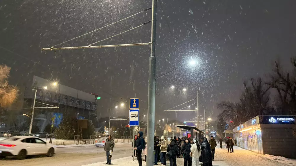 Снегопад в Алматы: о чем шутят и на что жалуются казахстанцы