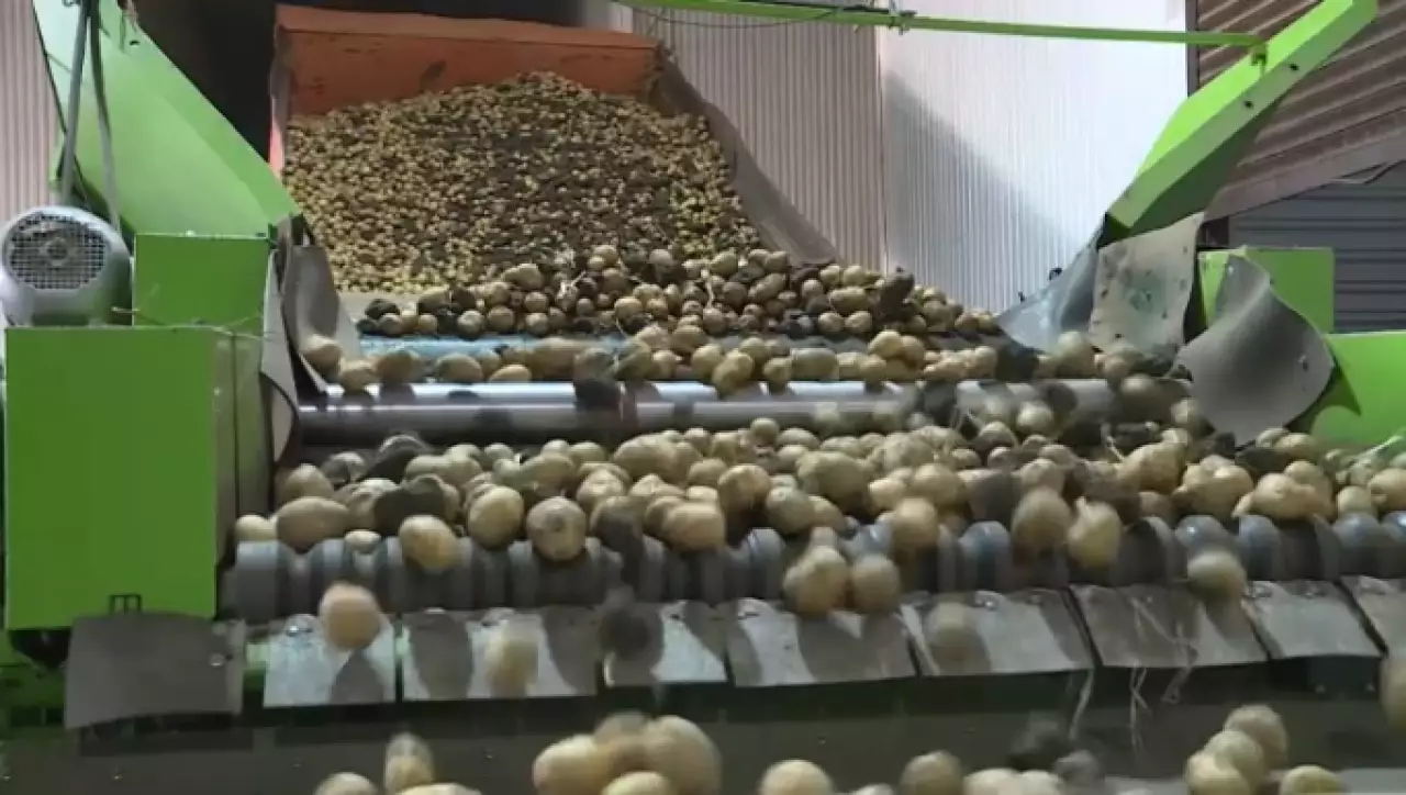 Депутат раскритиковал инициативу по ограничению вывоза овощей