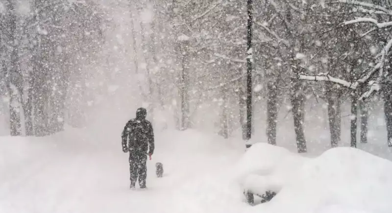 Морозы до -40 и метели: где в Казахстане ухудшится погода в субботу