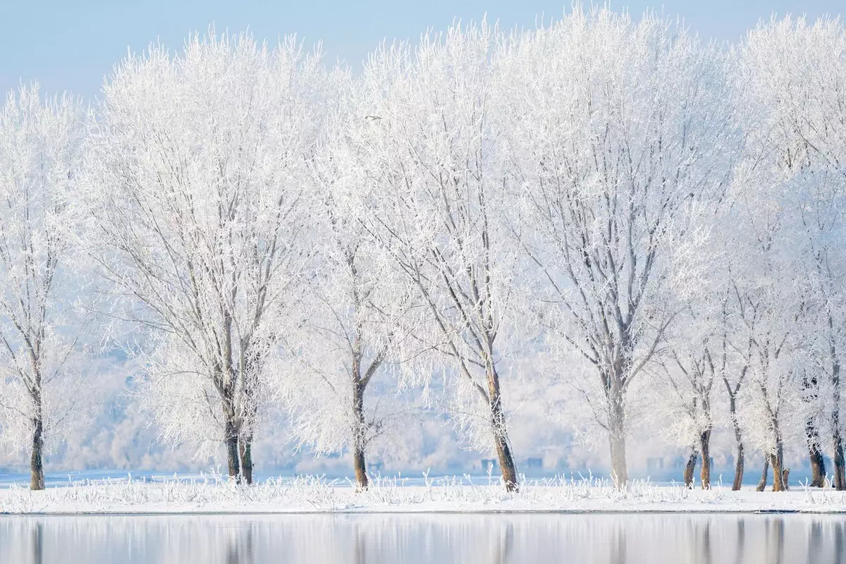 Прогноз погоды по регионам Казахстана на 17 января