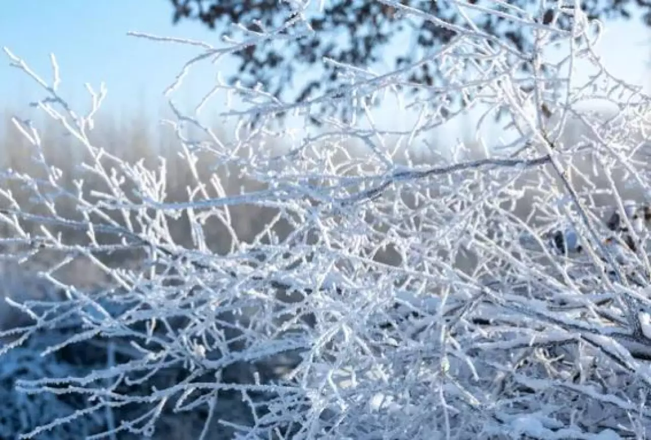 Морозная погода сохранится в выходные