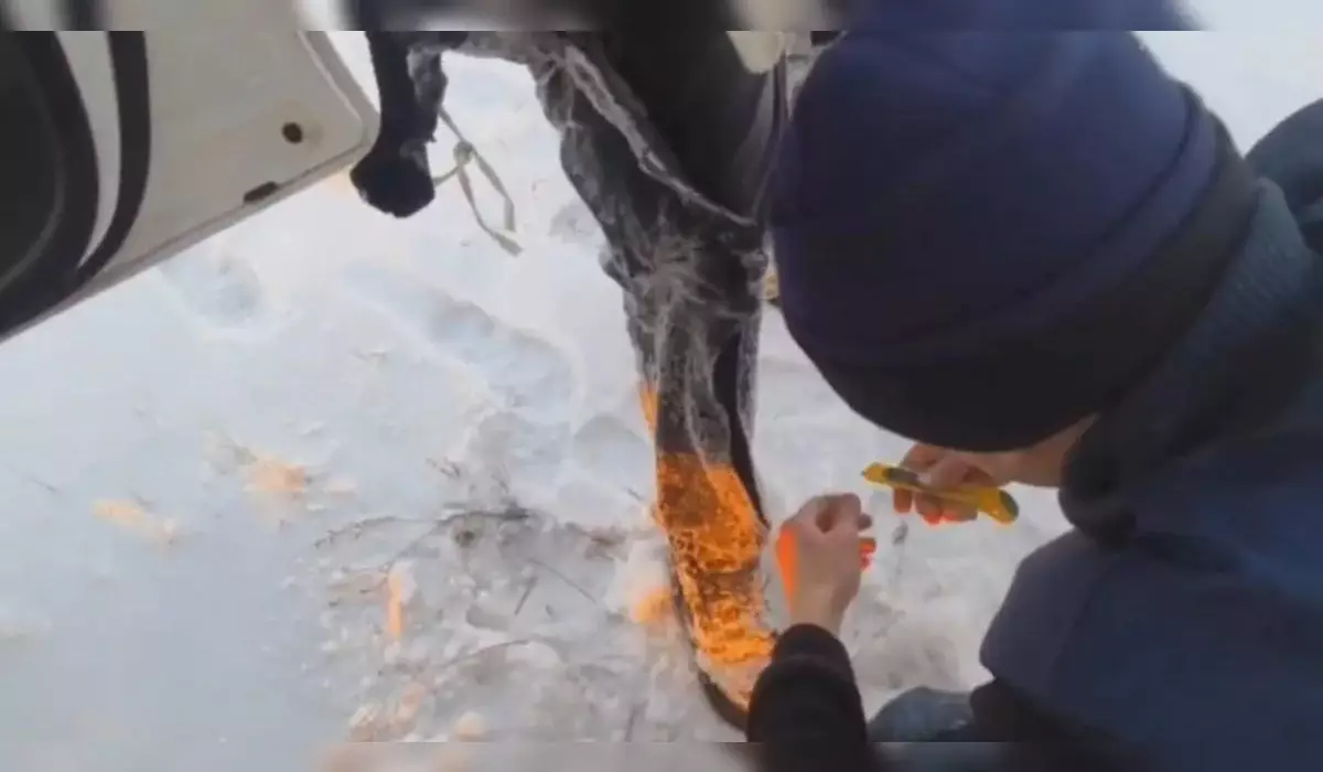 Автомобиль с рыбаками провалился под лед возле Экибастуза (ВИДЕО)