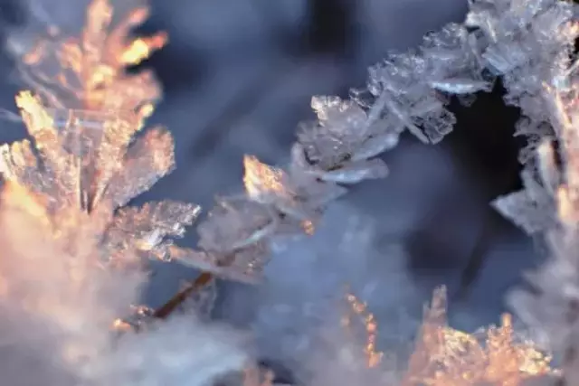 Еліміздің Шығыс өңірінде -56 градус аяз тіркелді