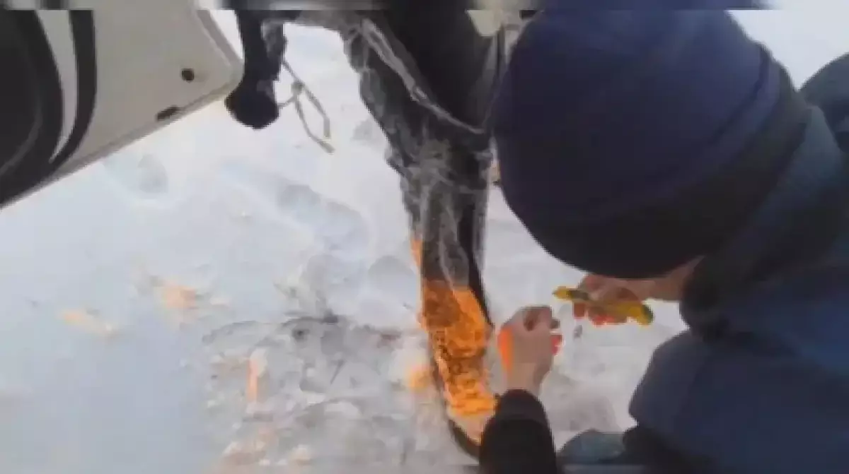 Павлодарда автобус мұз астына түсіп, 4 балықшы өлім аузынан қалды