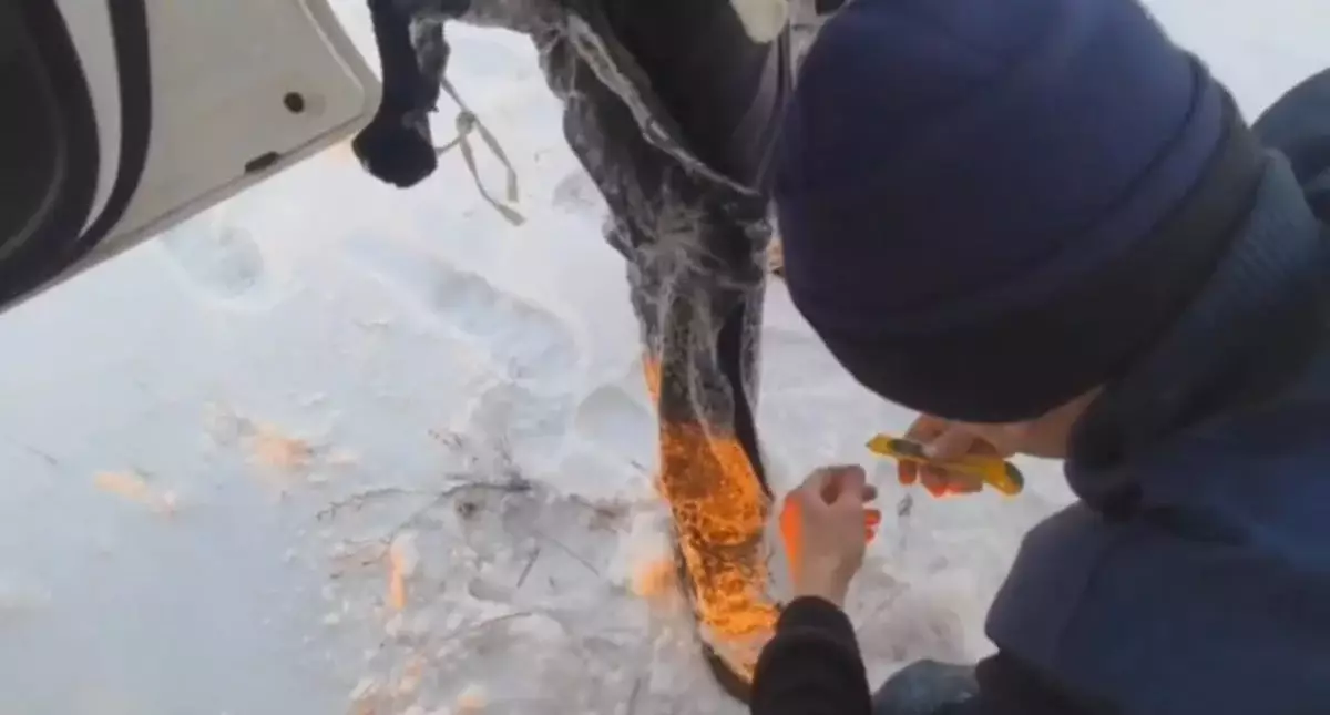 Автомобиль ушёл под лёд, рыбаки чудом выжили в Экибастузе