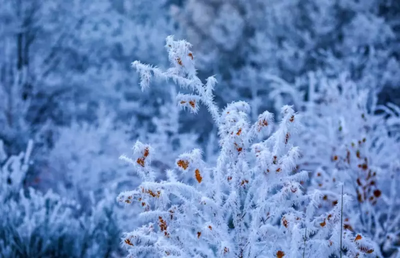 В Казахстане ожидаются сильные морозы