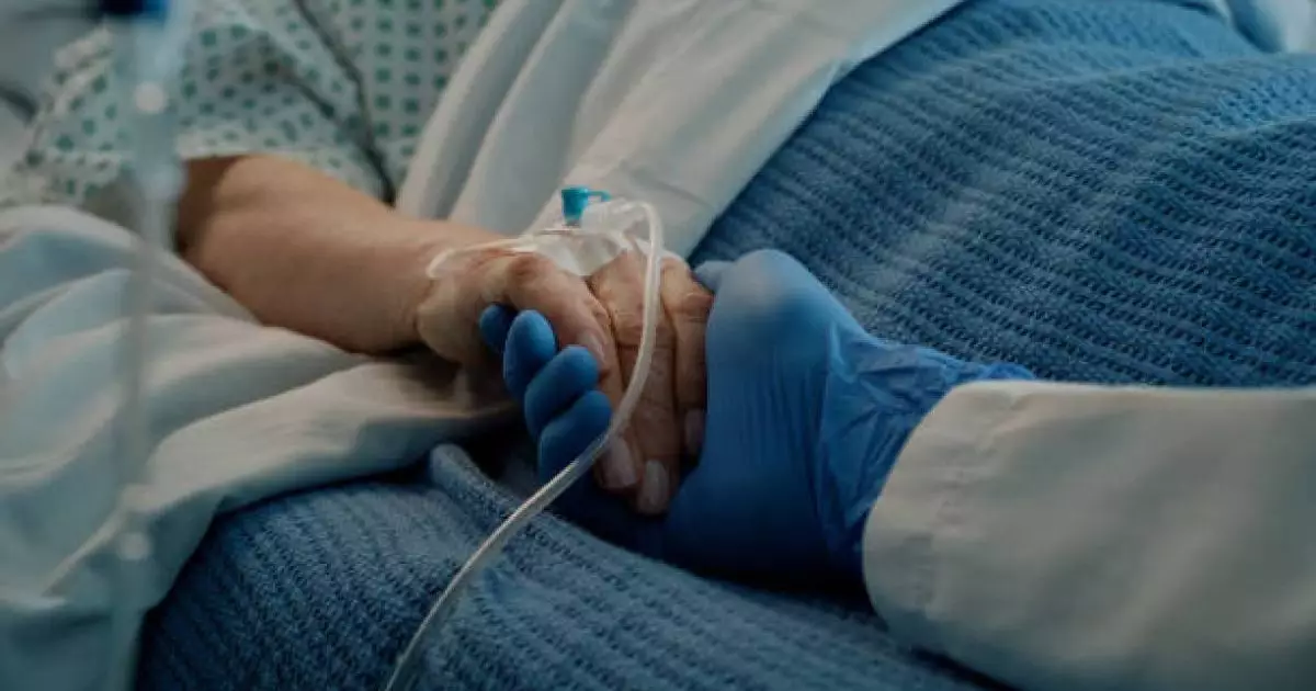  Жамбыл облысында інісі комада жатқан ағасының жерін сатып жіберген 