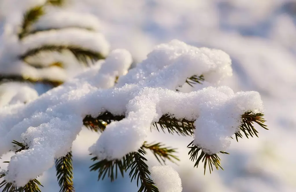 Погода без осадков ожидается в воскресенье в Астане и Алматы, в Шымкенте дождь со снегом