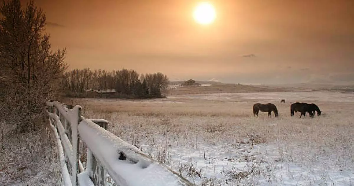  Қарағандыда мал іздеуге шыққандар жоғалып кетті 