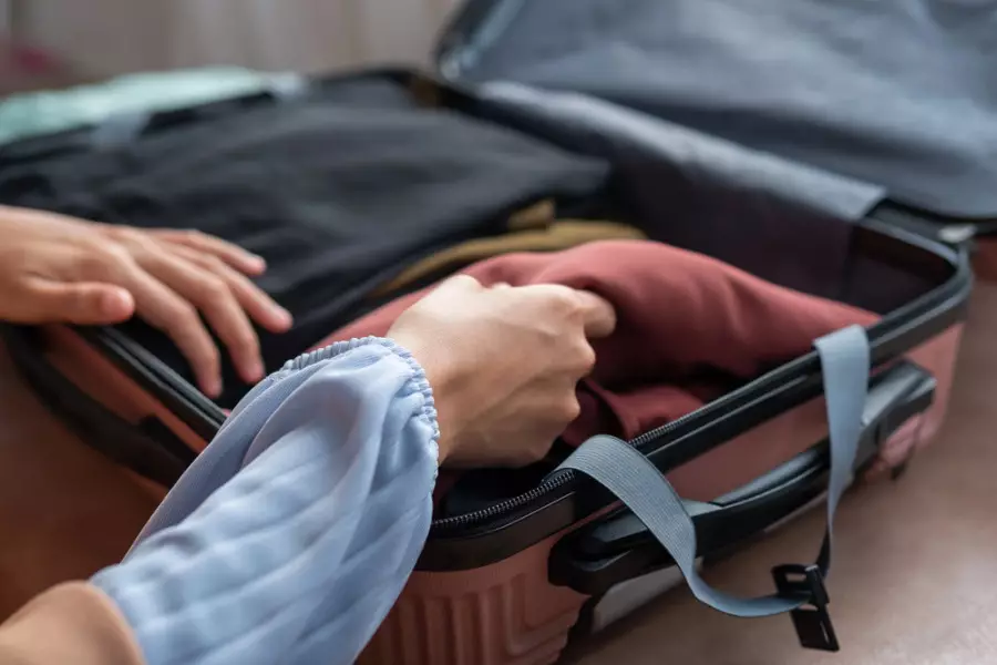 Құртты ұшақта қалай тасымалдауға болады? Әуекомпаниялар жауап берді