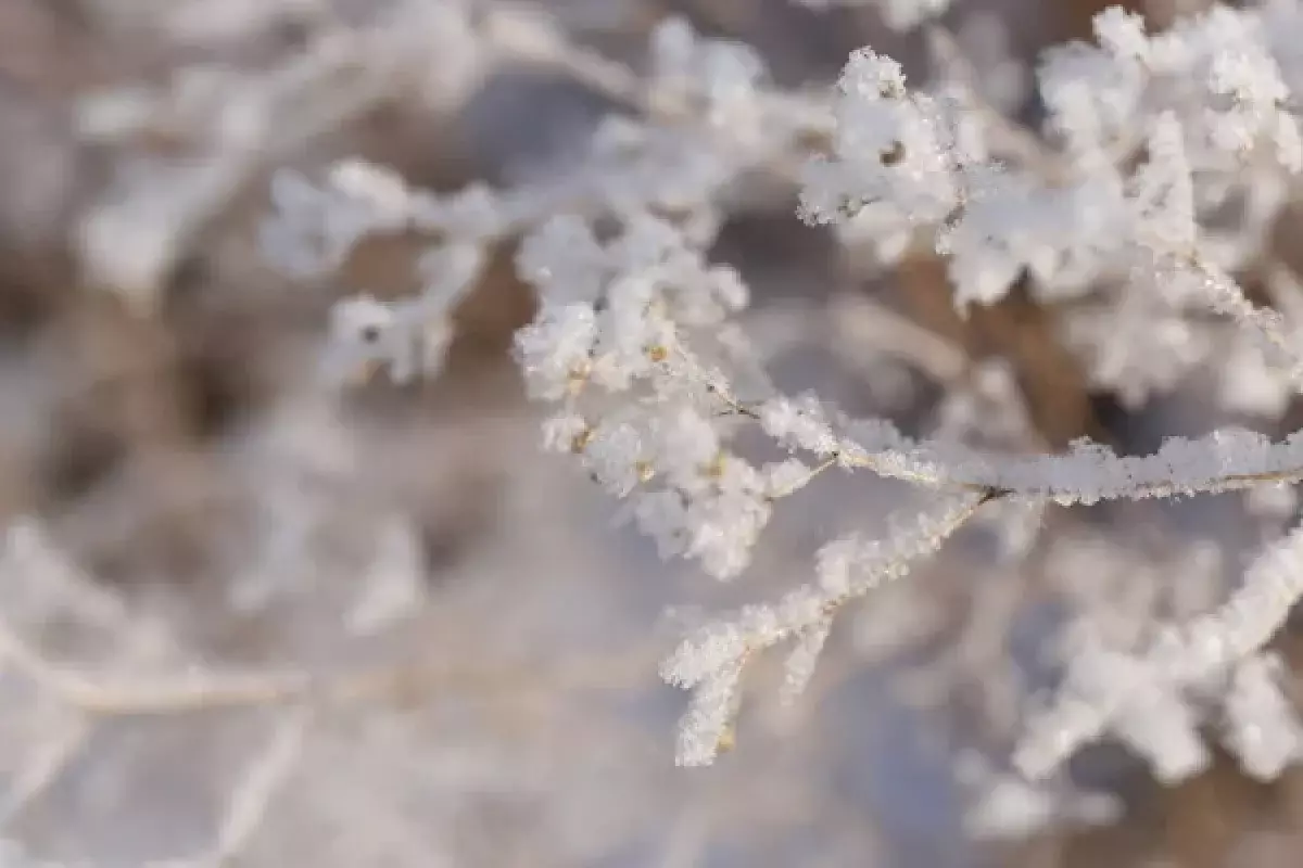 От −56 до −62: как жители крайней точки ВКО переживают экстремальные морозы