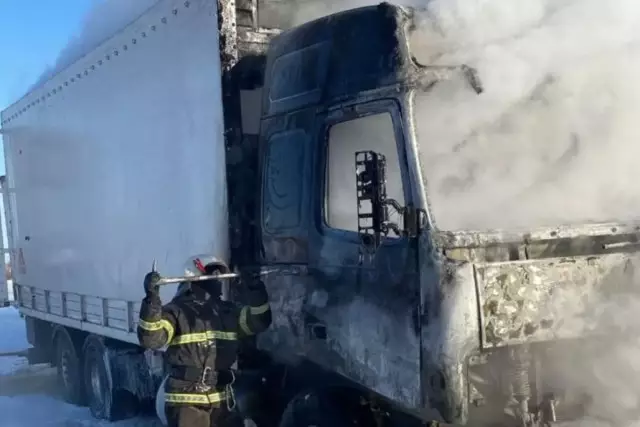 Павлодар облысындағы тас жолда 15 жылқы тиелген жүк көлігі өртенді