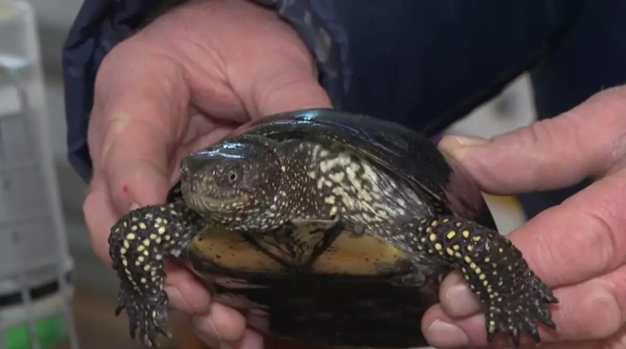 Аң-құсқа да қамқорлық қажет