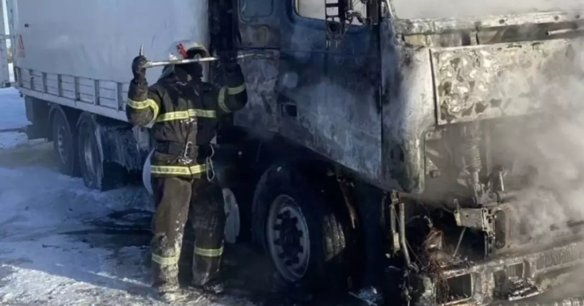  Павлодар облысында 15 бас жылқы тиелген жүк көлігі өртке оранды 