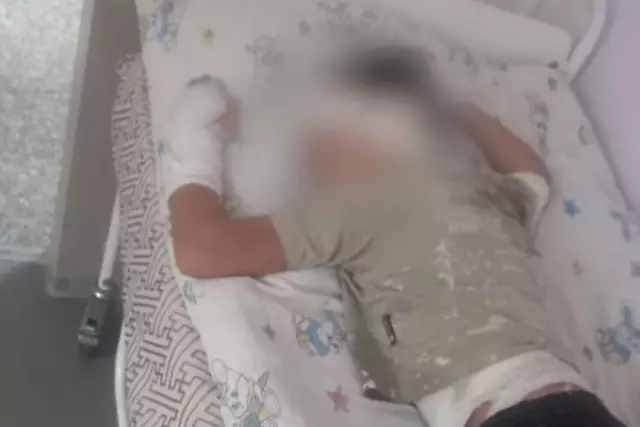 Шымкентте әйел туған балаларын аяусыз ұрып, денесін үтікпен күйдірген