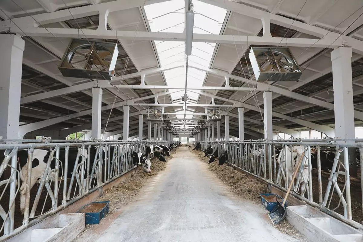 Делегация Казахстана изучила опыт создания молочно-товарных комплексов в Беларуси