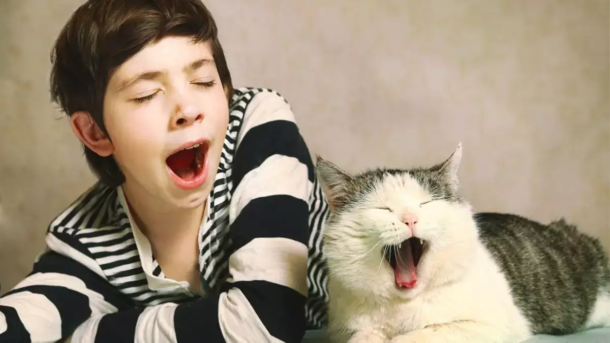 Почему вы не можете устоять: тайна заразной зевоты раскрыта - новости на Lada.kz 18.01.2026