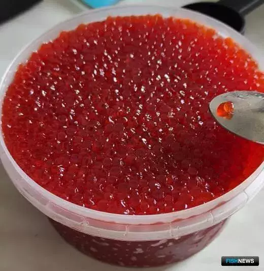 Азербайджан обратился к Казахстану за альтернативами черной икре.