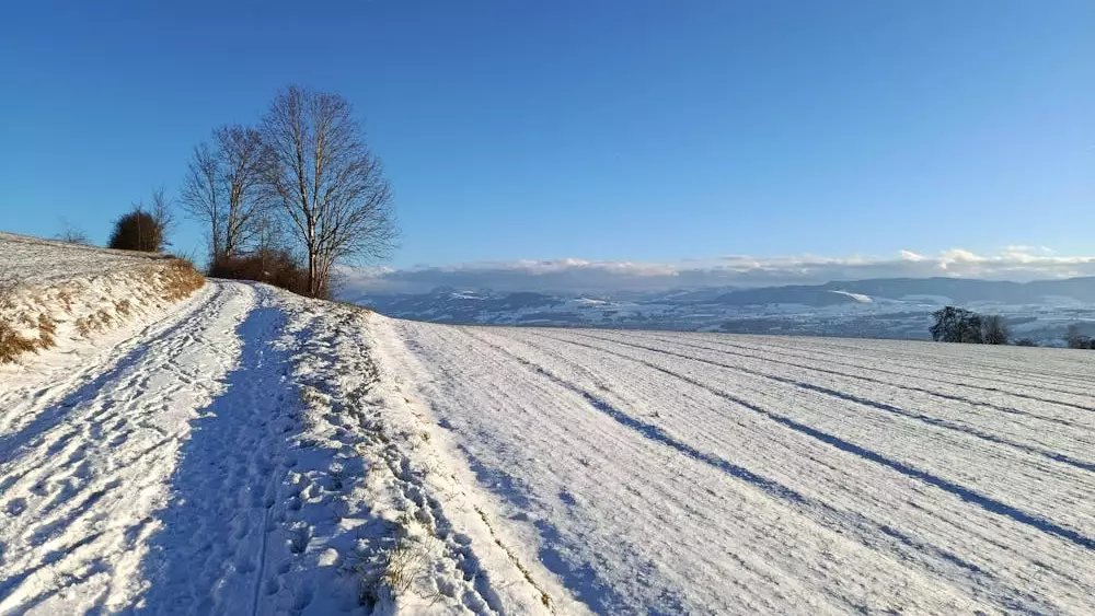 Қар, аяз, көктайғақ: дүйсенбіде бірқатар өңірде ауа райына байланысты ескерту жасалды