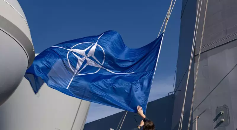 Страны НАТО предупредили о разрыве с США из-за Гренландии