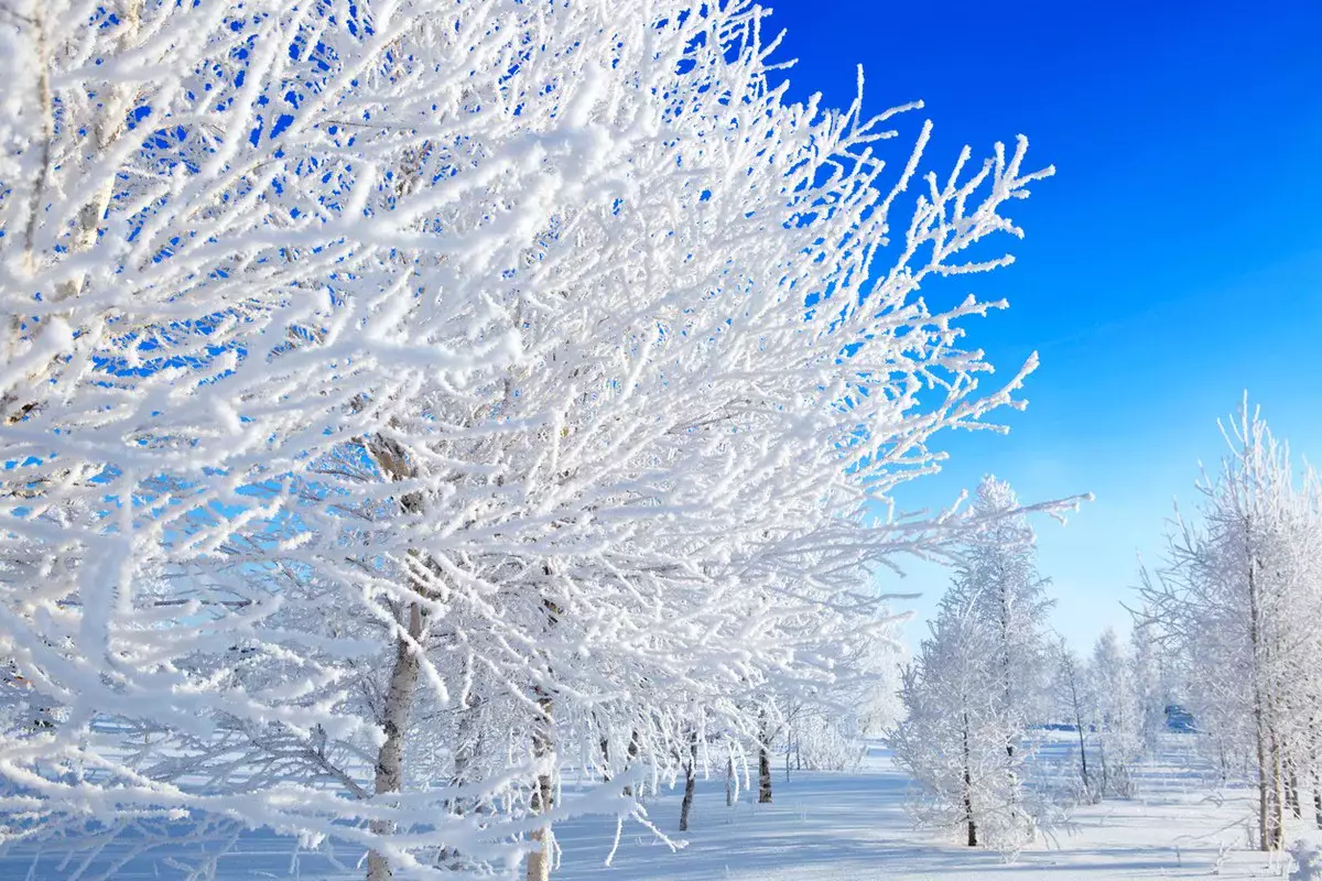 Морозная погода сохраняется в Казахстане: прогноз на 19 января
