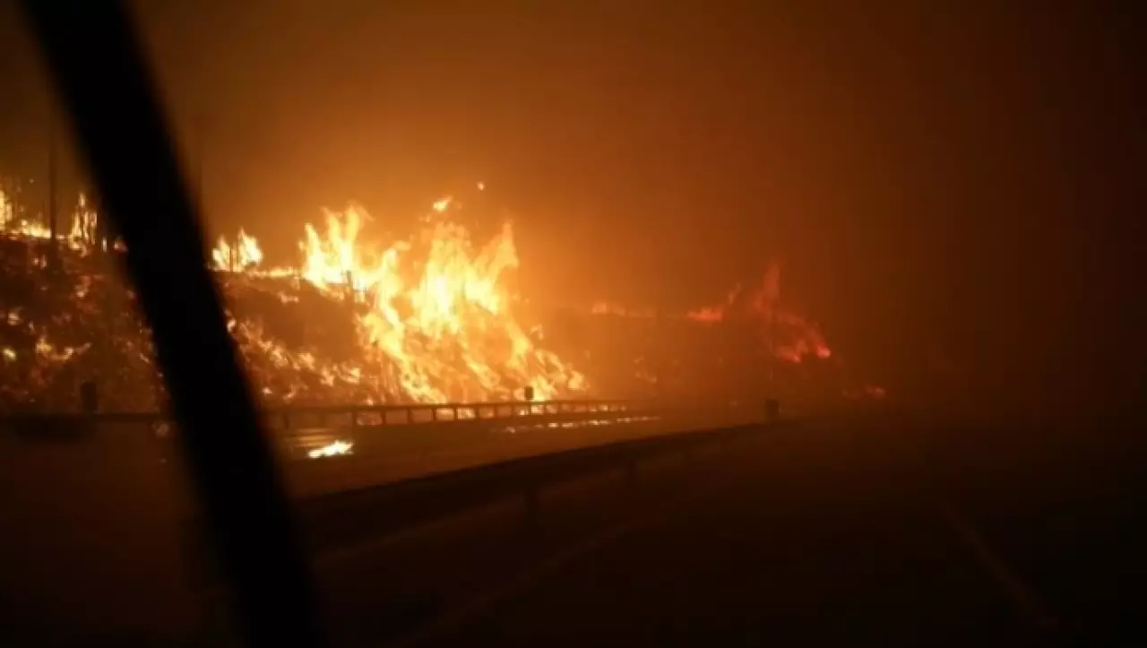 Лесные пожары унесли жизни 18 человек в Чили