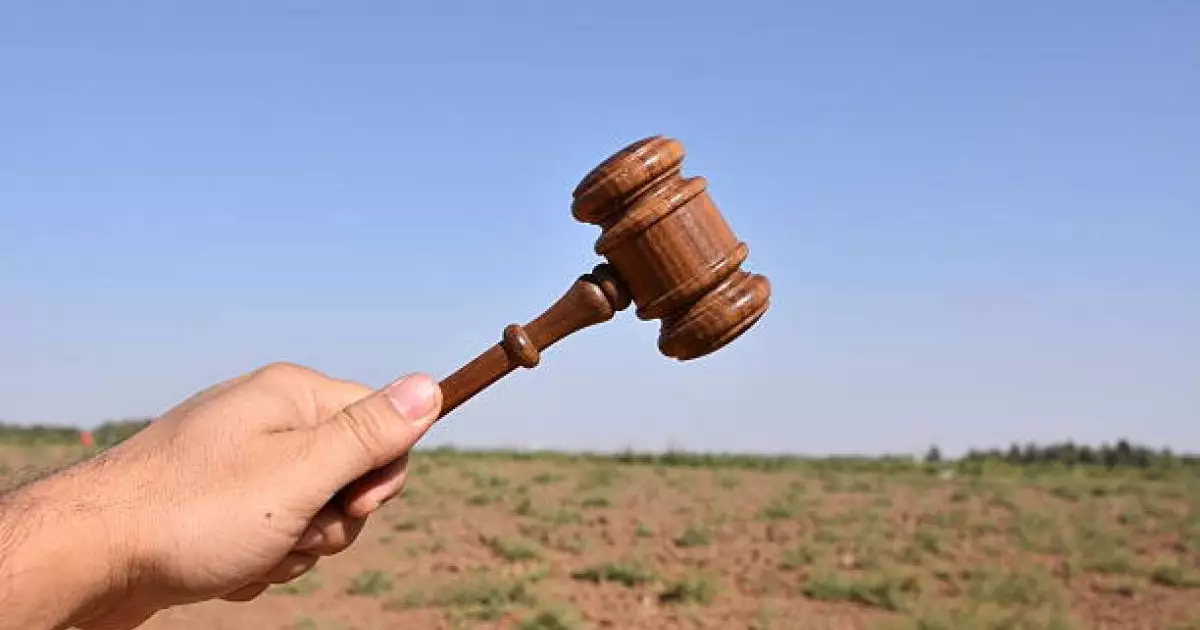  Інісі комада жатқанда ағасы жерін сатып жіберген: Сот үкім шығарды 