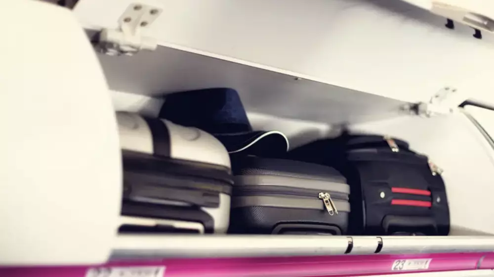 Әуекомпаниялар ұшақта құртты қалай тасымалдау керегін түсіндірді