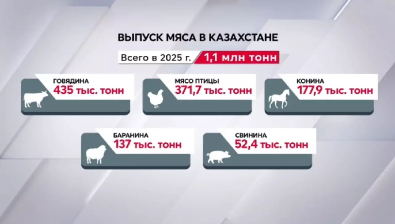 Казахстан произвел свыше 1 млн тонн мяса всех видов