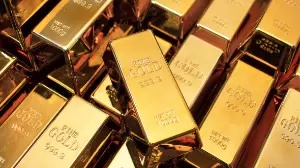 Алтынды заңсыз өндіргендер айыппұл арқалады